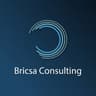 Bricsa Consulting