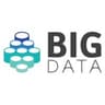 Big Data Consulting
